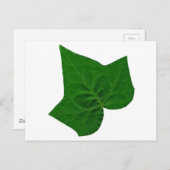 Ivy Briefkaart (Voorkant / Achterkant)