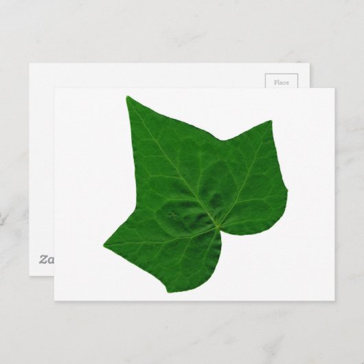 Ivy Briefkaart (Voorkant / Achterkant)