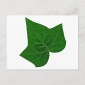 Ivy Briefkaart (Voorkant)