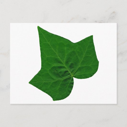 Ivy Briefkaart (Voorkant)