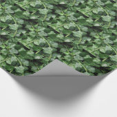 Ivy Cadeaupapier (Hoek)