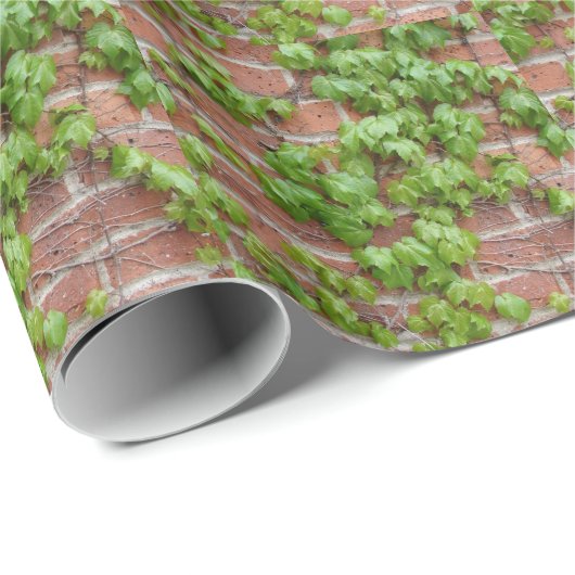 Ivy Cadeaupapier (Rol Hoek)