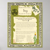 IVY CELTIC SACRED TREE POSTER (Voorkant)