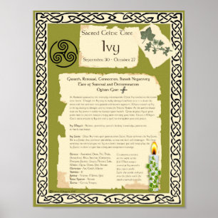 IVY CELTIC SACRED TREE POSTER