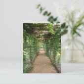 Ivy Covered Walkway Briefkaart (Staand voorkant)