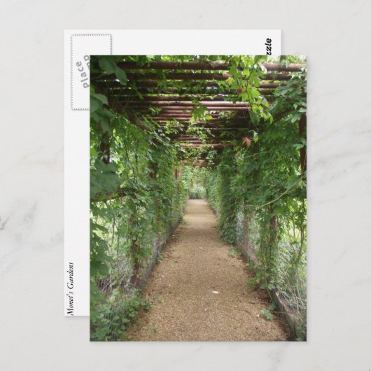 Ivy Covered Walkway Briefkaart (Voorkant / Achterkant)