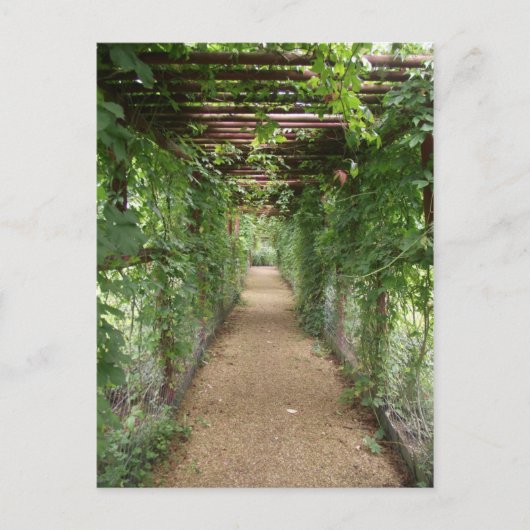 Ivy Covered Walkway Briefkaart (Voorkant)