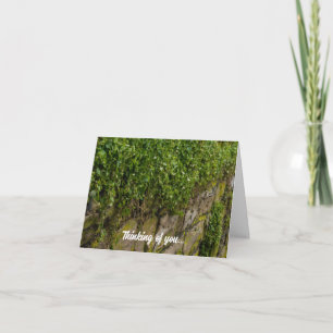 Ivy denking van je Kaart