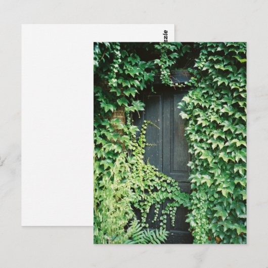 Ivy deur briefkaart (Voorkant / Achterkant)