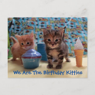 Ivy en Parker's Surprise - Cat Birthday Briefkaart