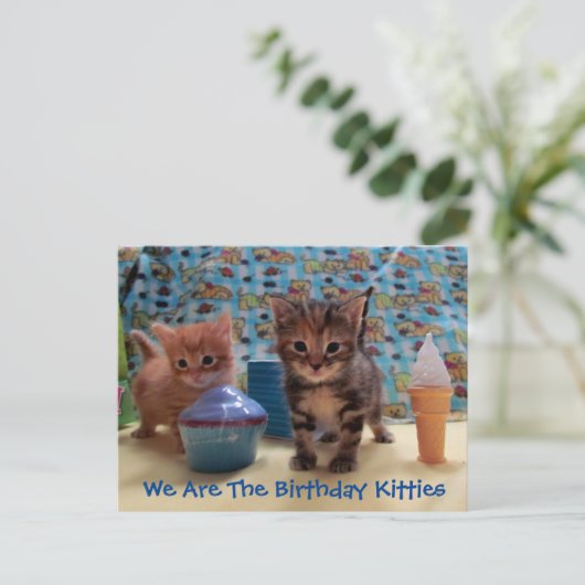 Ivy en Parker's Surprise - Cat Birthday Briefkaart (Staand voorkant)