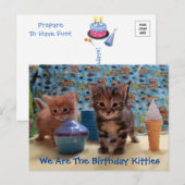 Ivy en Parker's Surprise - Cat Birthday Briefkaart (Voorkant / Achterkant)