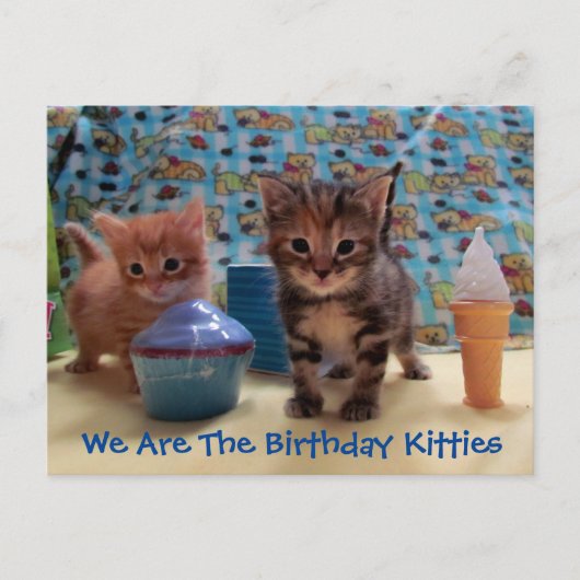Ivy en Parker's Surprise - Cat Birthday Briefkaart (Voorkant)