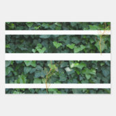 Ivy Gift Wrap Inpakpapier Vel (Voorkant)