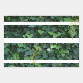 Ivy Gift Wrap Inpakpapier Vel