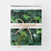 Ivy Gift Wrap Inpakpapier Vel (In situ)