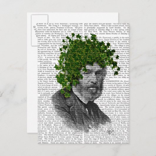 Ivy Head Plant Briefkaart (Voorkant / Achterkant)