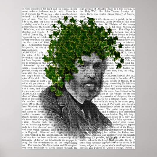 Ivy Head Plant Poster (Voorkant)