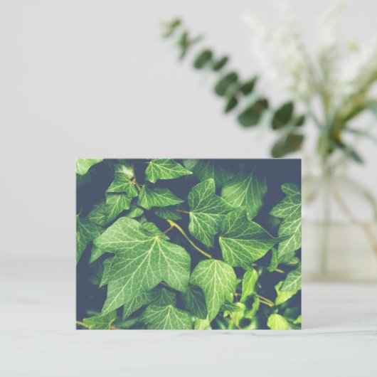 Ivy Leaf Green Leaves Briefkaart (Staand voorkant)