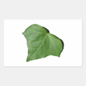 Ivy Leaf Rechthoekige Sticker (Voorkant)