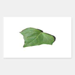 Ivy Leaf Rechthoekige Sticker