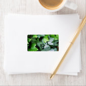 Ivy Leaves Etiket (Insitu)