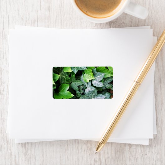 Ivy Leaves Etiket (Insitu)