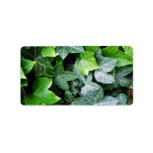 Ivy Leaves Etiket (Voorkant)