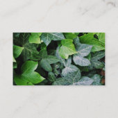 Ivy Leaves Visitekaartje (Achterkant)