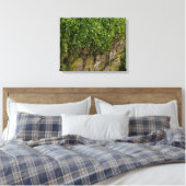 Ivy-muur Canvas Afdruk (Insitu (Slaapkamer))