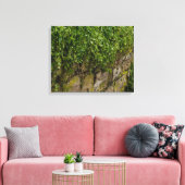 Ivy-muur Canvas Afdruk (Insitu (Woonkamer))