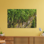 Ivy-muur Canvas Afdruk (Insitu (Woonkamer))