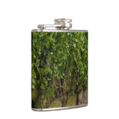 Ivy-muur Heupfles (Rechts)