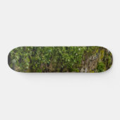 Ivy-muur Skateboard (Horizontaal)