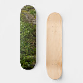 Ivy-muur Skateboard (Voorkant)