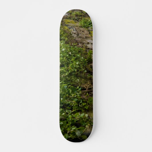 Ivy-muur Skateboard (Voorkant)