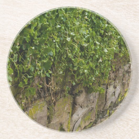 Ivy-muur Zandsteen Onderzetter (Voorkant)