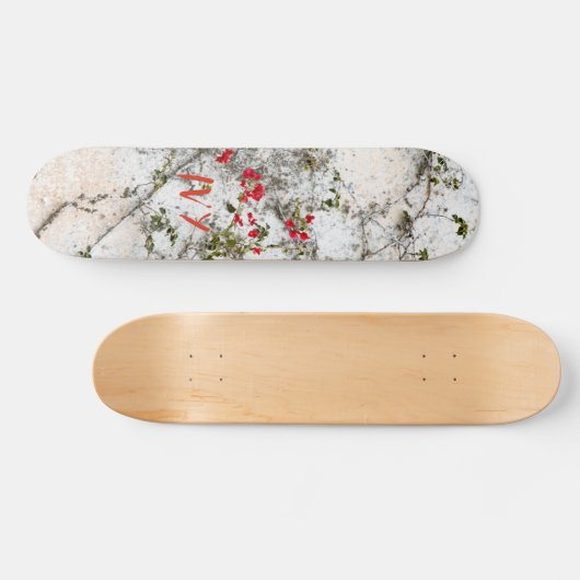 IVY PERSOONLIJK SKATEBOARD (Horizontaal)