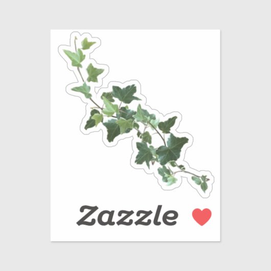 Ivy Plant Vine Sticker (Vel)