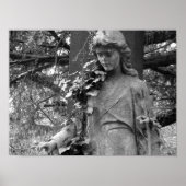 Ivy Poster (Voorkant)