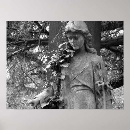 Ivy Poster (Voorkant)