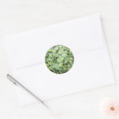 Ivy Ronde Sticker (Envelop)