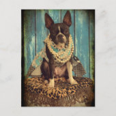 Ivy the Boston Terrier Briefkaart (Voorkant)