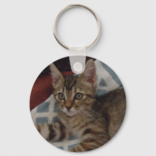 Ivy the tabby kitten sleutelhanger