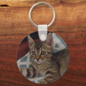 Ivy the tabby kitten sleutelhanger (Voorkant)