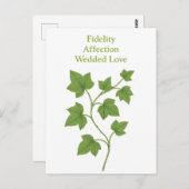 Ivy - Trouw, genegenheid, huwelijksliefde Briefkaart (Voorkant / Achterkant)