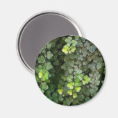 Ivy Vine 6 Magneet (Voorkant / Achterkant)