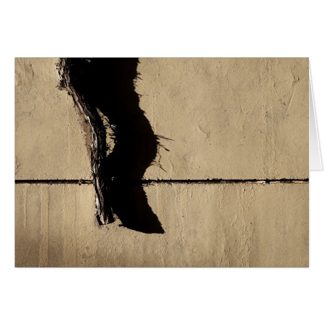 Ivy Vine en Shadow (Voorkant Horizontaal)