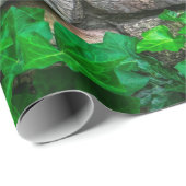 Ivy vine leaf plant Broadleaf Cadeaupapier (Rol Hoek)