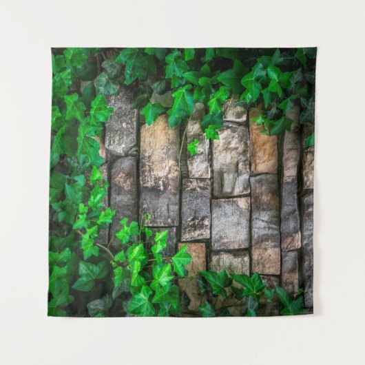 Ivy vine leaf plant Broadleaf Wandkleed (Voorkant (horizontaal))